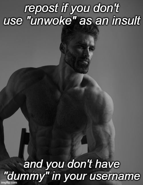 Respectfully, if you harassed Dummy before but now you support her cuz she's harassing the unwoke mf .-. thats pathetic, bro. Lo | repost if you don't use "unwoke" as an insult; and you don't have "dummy" in your username | image tagged in giga chad | made w/ Imgflip meme maker