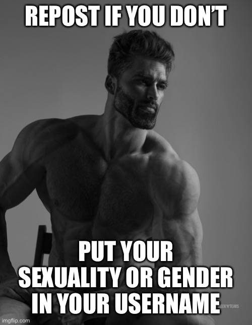 TheStraightWhiteCisMalePig | REPOST IF YOU DON’T; PUT YOUR SEXUALITY OR GENDER IN YOUR USERNAME | image tagged in giga chad | made w/ Imgflip meme maker