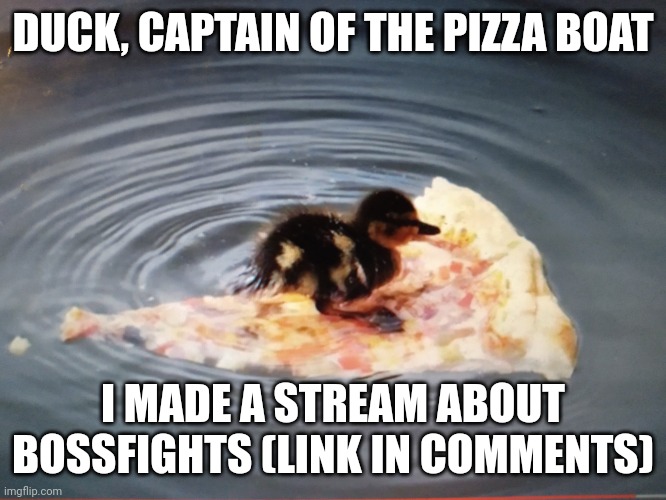 *pirates of the Caribbean theme begins playing* | DUCK, CAPTAIN OF THE PIZZA BOAT; I MADE A STREAM ABOUT BOSSFIGHTS (LINK IN COMMENTS) | image tagged in duck in a pizza boat | made w/ Imgflip meme maker