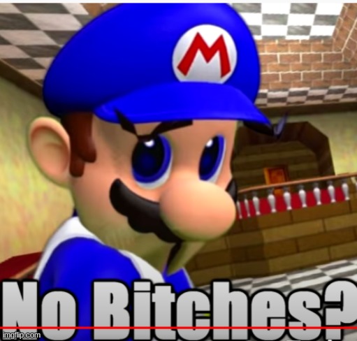 SMG4 "No Bitches?" | image tagged in smg4 no bitches | made w/ Imgflip meme maker