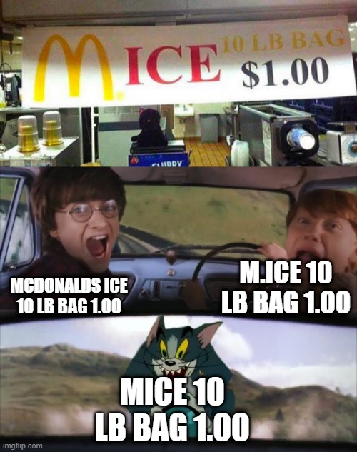 mice lol |  M.ICE 10 LB BAG 1.00; MCDONALDS ICE 10 LB BAG 1.00; MICE 10 LB BAG 1.00 | image tagged in tom chasing harry and ron weasly | made w/ Imgflip meme maker
