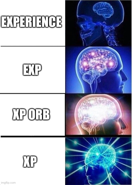 Expanding Brain | EXPERIENCE; EXP; XP ORB; XP | image tagged in memes,expanding brain | made w/ Imgflip meme maker
