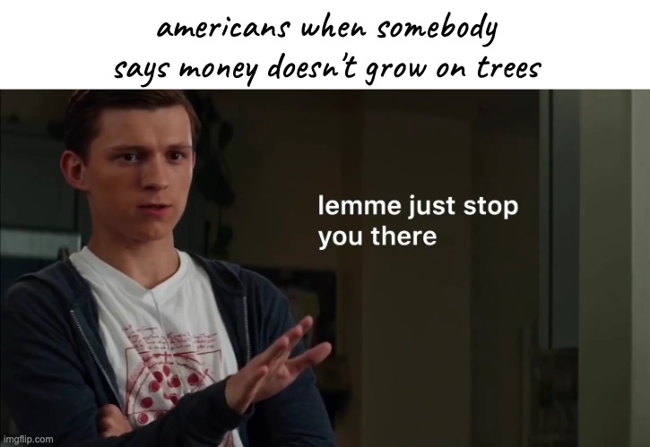 Lemme just stop you there | americans when somebody says money doesn't grow on trees | image tagged in lemme just stop you there | made w/ Imgflip meme maker