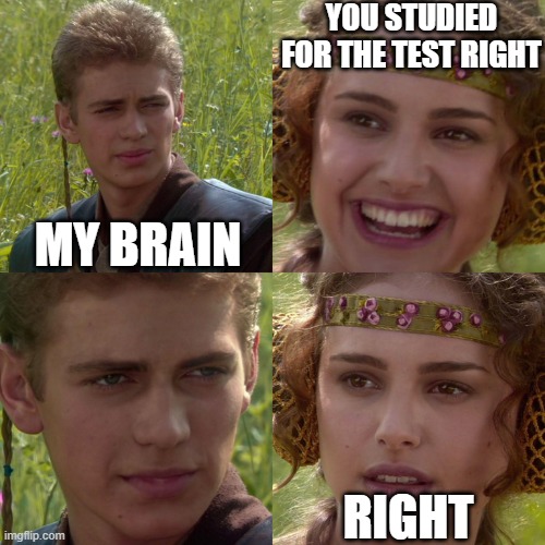 Anakin Padme 4 Panel | YOU STUDIED FOR THE TEST RIGHT; MY BRAIN; RIGHT | image tagged in anakin padme 4 panel | made w/ Imgflip meme maker