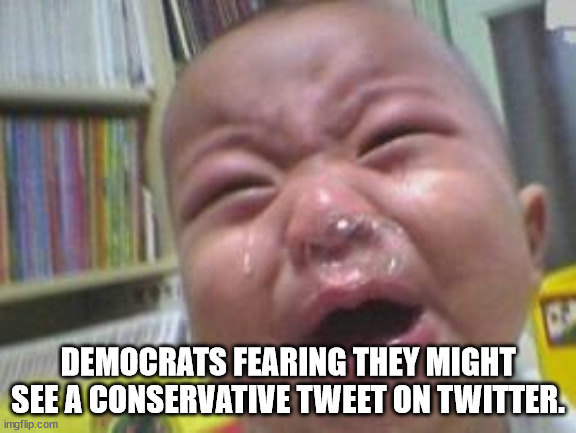 The greatest fear of the Democrats is not Donald Trump, not climate change and not COVID-19.  Their greatest fear is free speech | DEMOCRATS FEARING THEY MIGHT SEE A CONSERVATIVE TWEET ON TWITTER. | image tagged in funny crying baby,conservative tweets,dems hate freedom | made w/ Imgflip meme maker