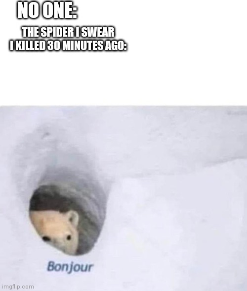 No Title |  NO ONE:; THE SPIDER I SWEAR I KILLED 30 MINUTES AGO: | image tagged in bonjour | made w/ Imgflip meme maker