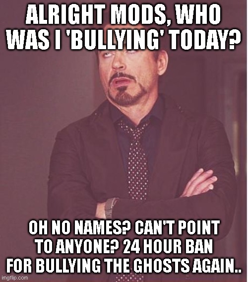 Face You Make Robert Downey Jr Meme | ALRIGHT MODS, WHO WAS I 'BULLYING' TODAY? OH NO NAMES? CAN'T POINT TO ANYONE? 24 HOUR BAN FOR BULLYING THE GHOSTS AGAIN.. | image tagged in memes,face you make robert downey jr | made w/ Imgflip meme maker