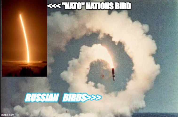 Putin's Rocket | <<< "NATO" NATIONS BIRD; RUSSIAN   BIRDS>>> | image tagged in vladimir putin | made w/ Imgflip meme maker