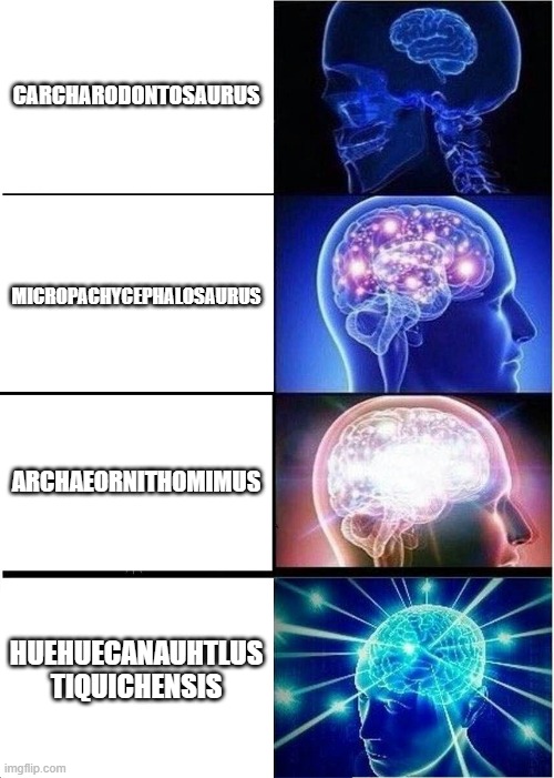 Expanding Brain Meme | CARCHARODONTOSAURUS; MICROPACHYCEPHALOSAURUS; ARCHAEORNITHOMIMUS; HUEHUECANAUHTLUS TIQUICHENSIS | image tagged in memes,expanding brain | made w/ Imgflip meme maker