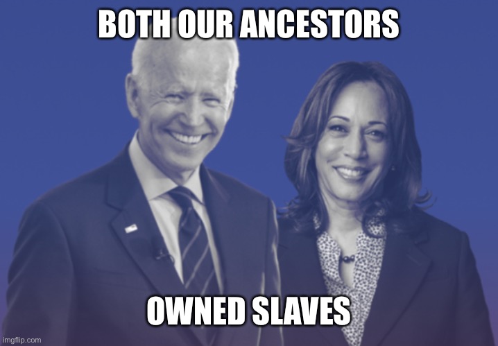 Biden Harris 2020 | BOTH OUR ANCESTORS OWNED SLAVES | image tagged in biden harris 2020 | made w/ Imgflip meme maker