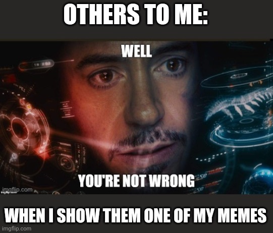 What others say | OTHERS TO ME:; WHEN I SHOW THEM ONE OF MY MEMES | image tagged in well you're not wrong | made w/ Imgflip meme maker