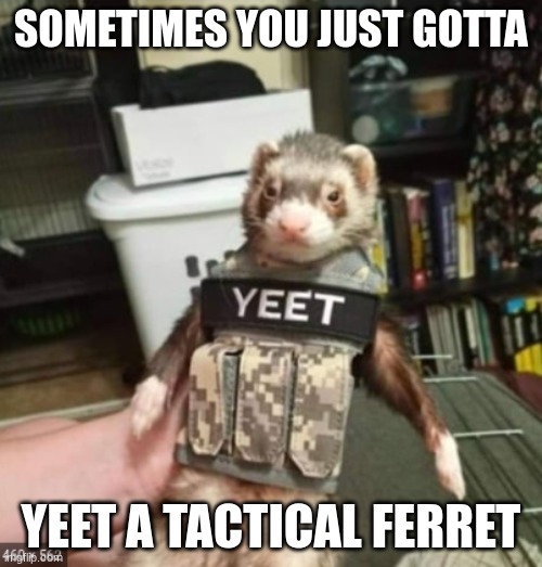 Tactical Ferret time | SOMETIMES YOU JUST GOTTA; YEET A TACTICAL FERRET | image tagged in tactical ferret | made w/ Imgflip meme maker