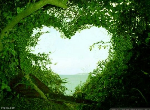 nature heart | image tagged in nature heart | made w/ Imgflip meme maker