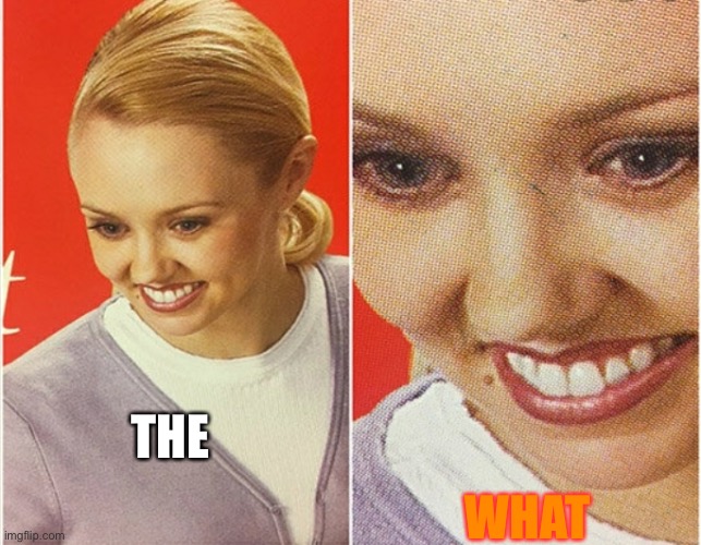 WAIT WHAT? | THE WHAT | image tagged in wait what | made w/ Imgflip meme maker