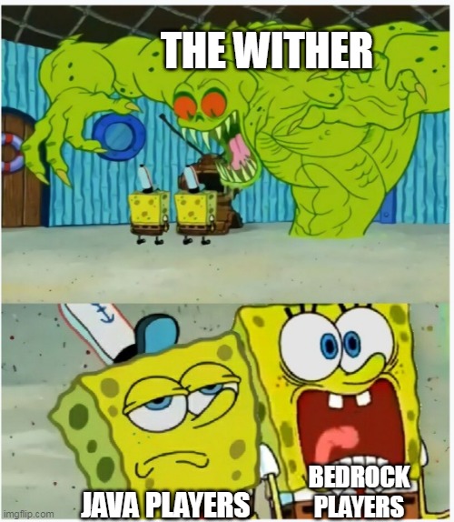 Java vs bedrock wither | THE WITHER; BEDROCK PLAYERS; JAVA PLAYERS | image tagged in spongebob squarepants scared but also not scared | made w/ Imgflip meme maker