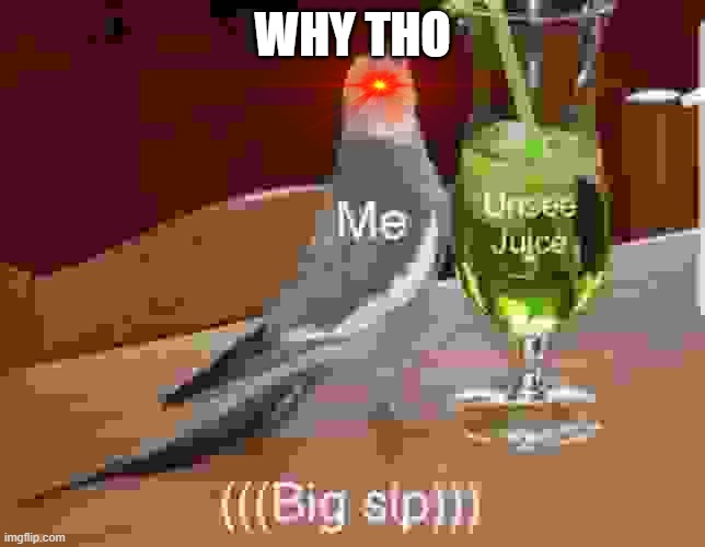 Unsee juice | WHY THO | image tagged in unsee juice | made w/ Imgflip meme maker