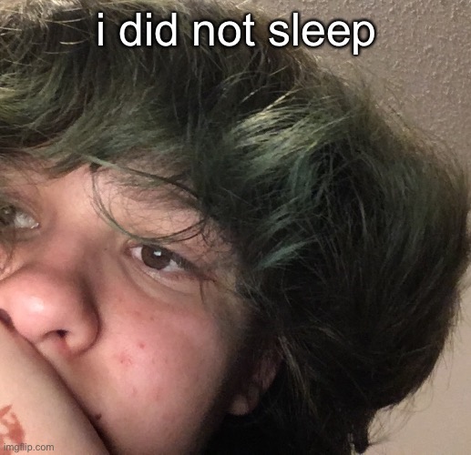 i did not sleep | made w/ Imgflip meme maker