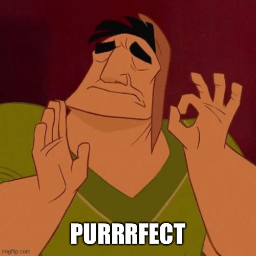 When X just right | PURRRFECT | image tagged in when x just right | made w/ Imgflip meme maker