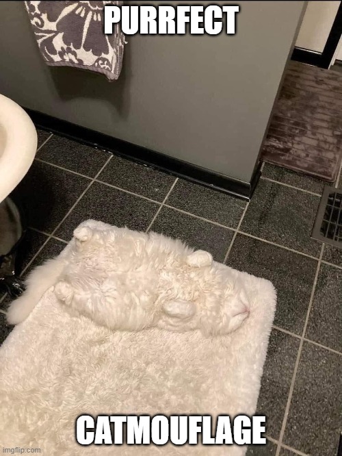 purrfect catmouflage |  PURRFECT; CATMOUFLAGE | image tagged in cat,bathroom,camouflage | made w/ Imgflip meme maker