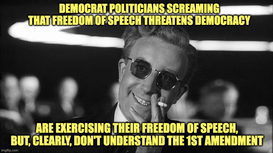 Zis Ist Gut | DEMOCRAT POLITICIANS SCREAMING THAT FREEDOM OF SPEECH THREATENS DEMOCRACY; ARE EXERCISING THEIR FREEDOM OF SPEECH, BUT, CLEARLY, DON'T UNDERSTAND THE 1ST AMENDMENT | image tagged in doctor strangelove says | made w/ Imgflip meme maker