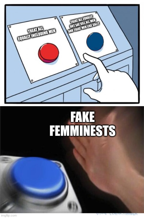 Fake femminest | TREAT ALL EQUALLY BUT SAY KILL ALL MEN AND TREAT MEN LIKE SH#T; TREAT ALL EQUALLY INCLUDING MEN; FAKE FEMMINESTS | image tagged in two buttons 1 blue | made w/ Imgflip meme maker