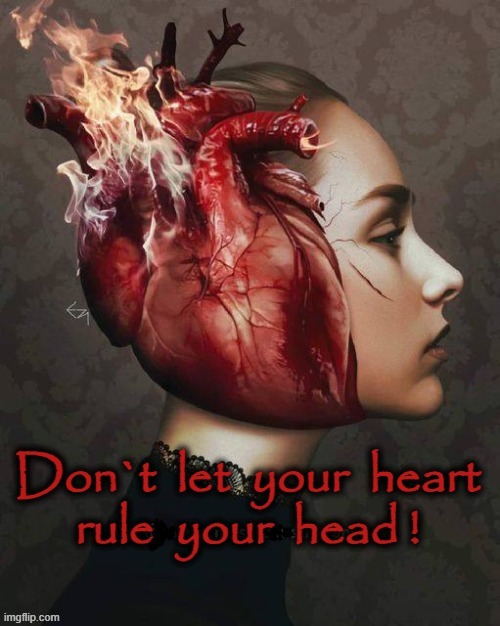 Heart or Head ? | image tagged in hard choice to make | made w/ Imgflip meme maker