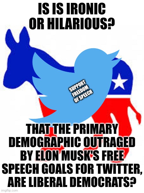 Remember when Democrats were outraged by Twitter censoring Republicans? COVID facts from the CDC website? No? | IS IS IRONIC OR HILARIOUS? SUPPORT FREEDOM OF SPEECH; THAT THE PRIMARY DEMOGRAPHIC OUTRAGED BY ELON MUSK'S FREE SPEECH GOALS FOR TWITTER, ARE LIBERAL DEMOCRATS? | image tagged in twitter,elon musk,freedom,tesla,liberal logic,liberal hypocrisy | made w/ Imgflip meme maker