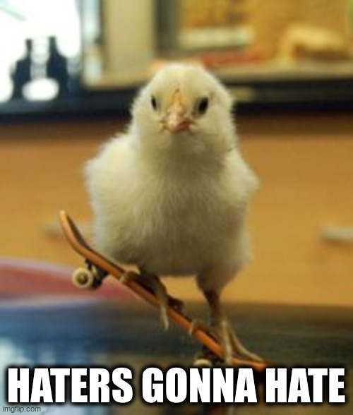 Haters gonna hate | HATERS GONNA HATE | image tagged in haters gonna hate | made w/ Imgflip meme maker