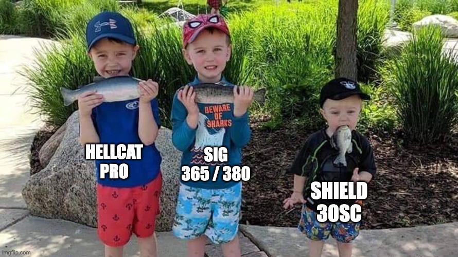 s&w does it again | HELLCAT
PRO; SIG
365 / 380; SHIELD
30SC | image tagged in fishing kids,smith and wesson,sig,30sc,springfield armory | made w/ Imgflip meme maker