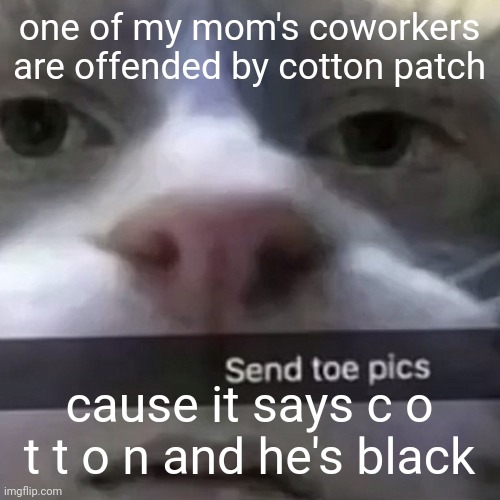 w h y | one of my mom's coworkers are offended by cotton patch; cause it says c o t t o n and he's black | image tagged in kat | made w/ Imgflip meme maker