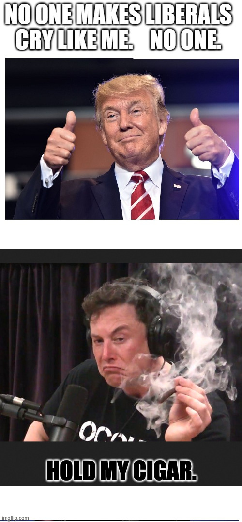 HOLD MY CIGAR. | image tagged in trump,musk,trump twitter | made w/ Imgflip meme maker