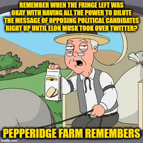 Pepperidge Farm Remembers | REMEMBER WHEN THE FRINGE LEFT WAS OKAY WITH HAVING ALL THE POWER TO DILUTE THE MESSAGE OF OPPOSING POLITICAL CANDIDATES RIGHT UP UNTIL ELON MUSK TOOK OVER TWITTER? PEPPERIDGE FARM REMEMBERS | image tagged in memes,pepperidge farm remembers | made w/ Imgflip meme maker