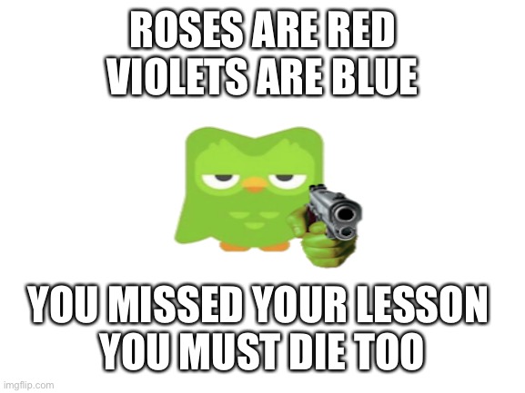 Lol | ROSES ARE RED
VIOLETS ARE BLUE; YOU MISSED YOUR LESSON 
YOU MUST DIE TOO | image tagged in blank white template,lol so funny,oof,duolingo | made w/ Imgflip meme maker
