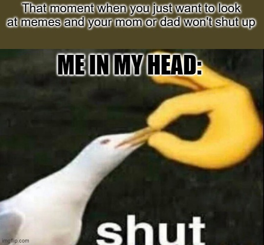 Hate when this happens | That moment when you just want to look at memes and your mom or dad won't shut up; ME IN MY HEAD: | image tagged in shut | made w/ Imgflip meme maker