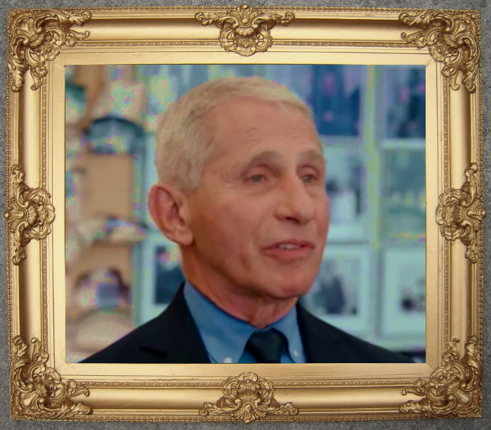 High Quality Fauci in a Picture Frame Blank Meme Template