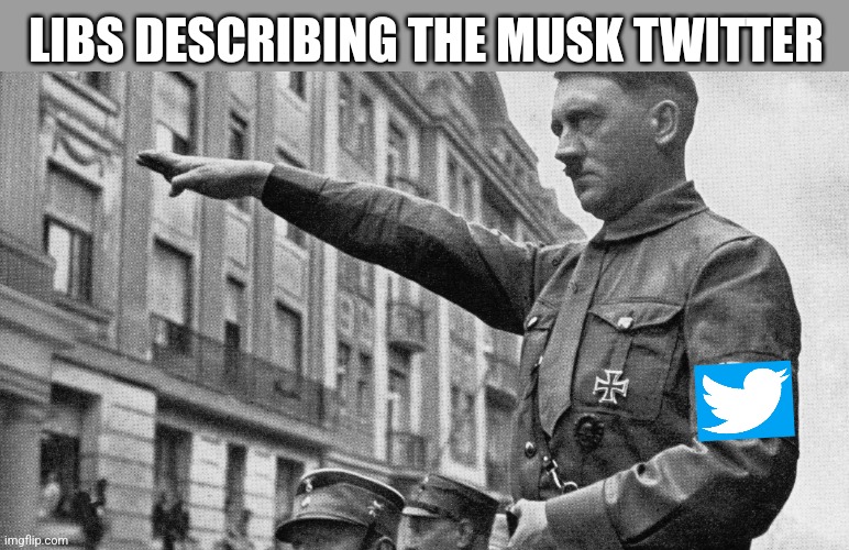 LIBS DESCRIBING THE MUSK TWITTER | image tagged in funny memes | made w/ Imgflip meme maker