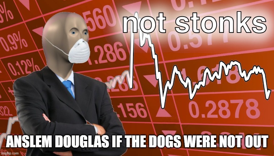 hehe |  ANSLEM DOUGLAS IF THE DOGS WERE NOT OUT | image tagged in not stonks,dog memes,lol so funny,funny | made w/ Imgflip meme maker