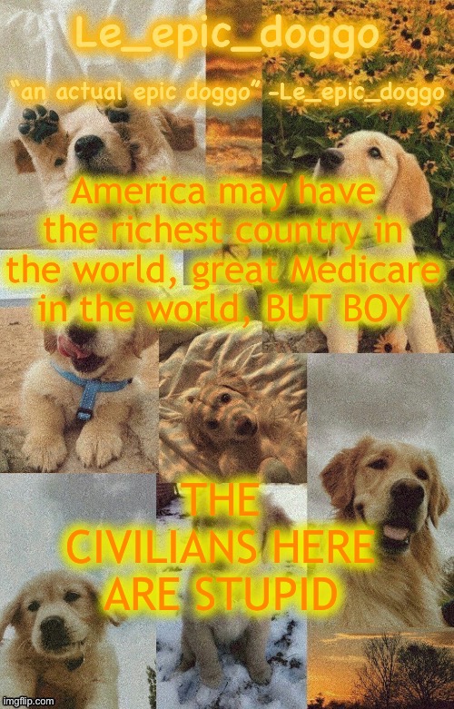 Doggo temp by doggo. Wait what that’s confusing | America may have the richest country in the world, great Medicare in the world, BUT BOY; THE CIVILIANS HERE ARE STUPID | image tagged in doggo temp by doggo wait what that s confusing | made w/ Imgflip meme maker