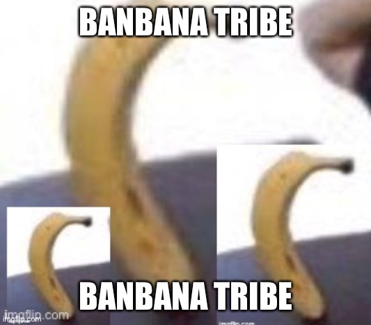 BANBANA TRIBE; BANBANA TRIBE | made w/ Imgflip meme maker