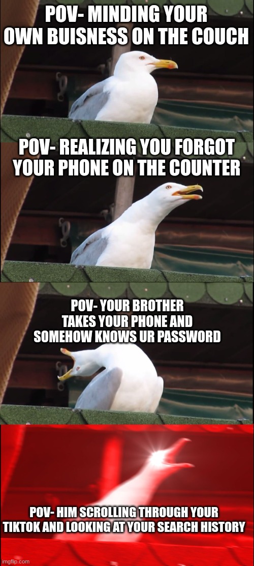 relatable life problems | POV- MINDING YOUR OWN BUISNESS ON THE COUCH; POV- REALIZING YOU FORGOT YOUR PHONE ON THE COUNTER; POV- YOUR BROTHER TAKES YOUR PHONE AND SOMEHOW KNOWS UR PASSWORD; POV- HIM SCROLLING THROUGH YOUR TIKTOK AND LOOKING AT YOUR SEARCH HISTORY | image tagged in memes,inhaling seagull | made w/ Imgflip meme maker