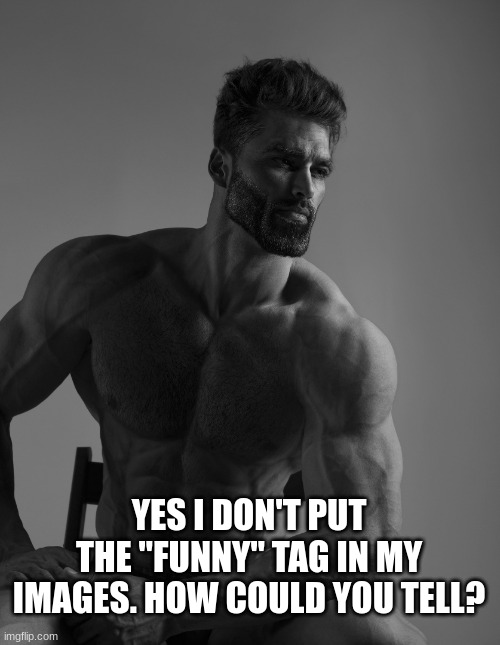 Giga Chad | YES I DON'T PUT THE "FUNNY" TAG IN MY IMAGES. HOW COULD YOU TELL? | image tagged in giga chad | made w/ Imgflip meme maker