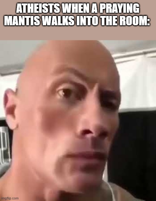 The Rock Eyebrows | ATHEISTS WHEN A PRAYING MANTIS WALKS INTO THE ROOM: | image tagged in the rock eyebrows | made w/ Imgflip meme maker