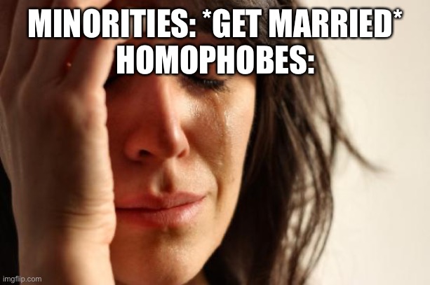 First World Problems | MINORITIES: *GET MARRIED*
HOMOPHOBES: | image tagged in memes,first world problems | made w/ Imgflip meme maker
