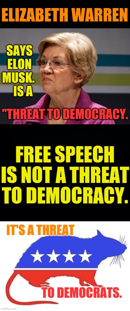 She Just Keeps Going... | ELIZABETH WARREN; SAYS ELON MUSK.     IS A; "THREAT TO DEMOCRACY. FREE SPEECH IS NOT A THREAT TO DEMOCRACY. IT'S A THREAT; TO DEMOCRATS. | image tagged in elizabeth warren smell,free speech,threat,democrats,memes,politics | made w/ Imgflip meme maker