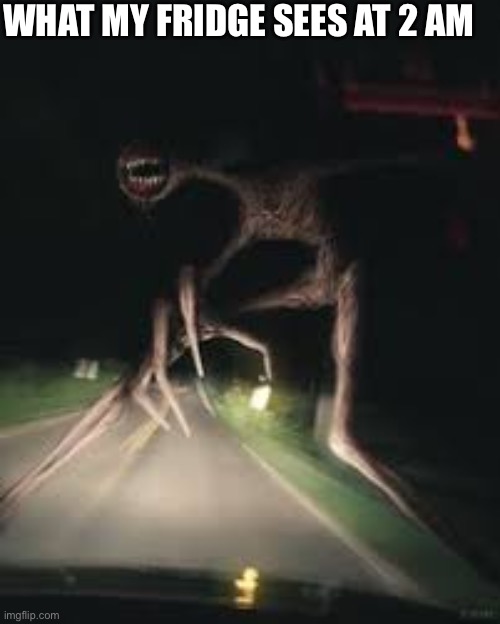 Fridge POV |  WHAT MY FRIDGE SEES AT 2 AM | image tagged in siren head,creepy | made w/ Imgflip meme maker