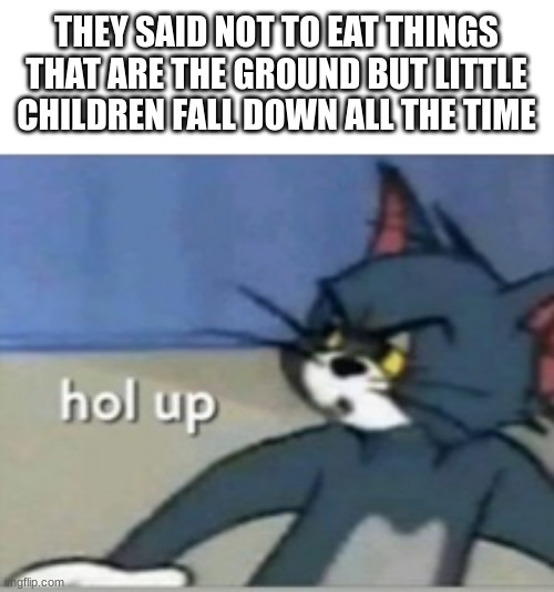They taste so good though | THEY SAID NOT TO EAT THINGS THAT ARE THE GROUND BUT LITTLE CHILDREN FALL DOWN ALL THE TIME | image tagged in hol up | made w/ Imgflip meme maker