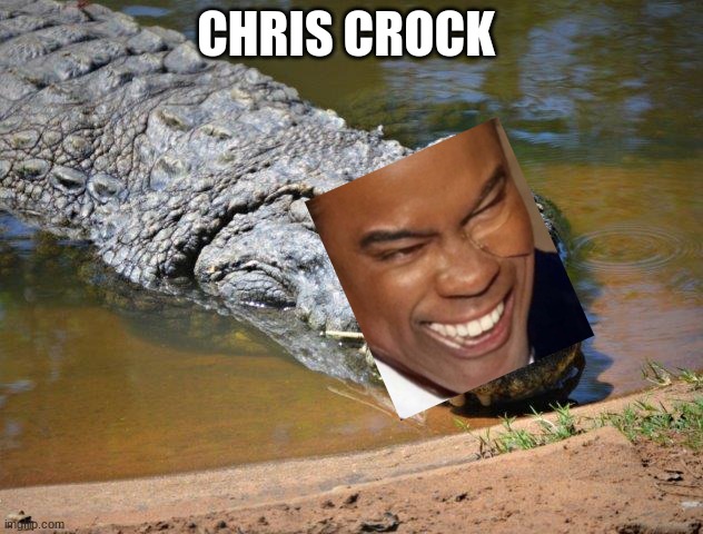 Crocodile |  CHRIS CROCK | image tagged in crocodile | made w/ Imgflip meme maker