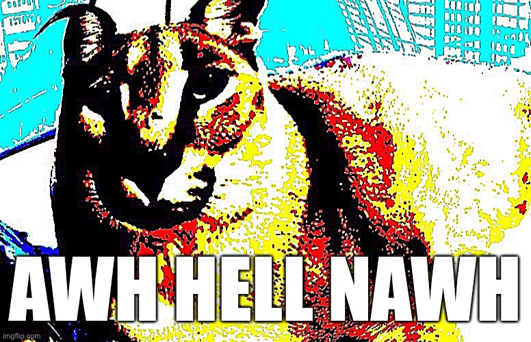 Deep fried floppa | AWH HELL NAWH | image tagged in deep fried floppa | made w/ Imgflip meme maker