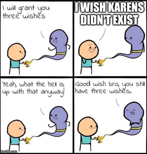 I will grant you three wishes | I WISH KARENS DIDN'T EXIST | image tagged in i will grant you three wishes | made w/ Imgflip meme maker