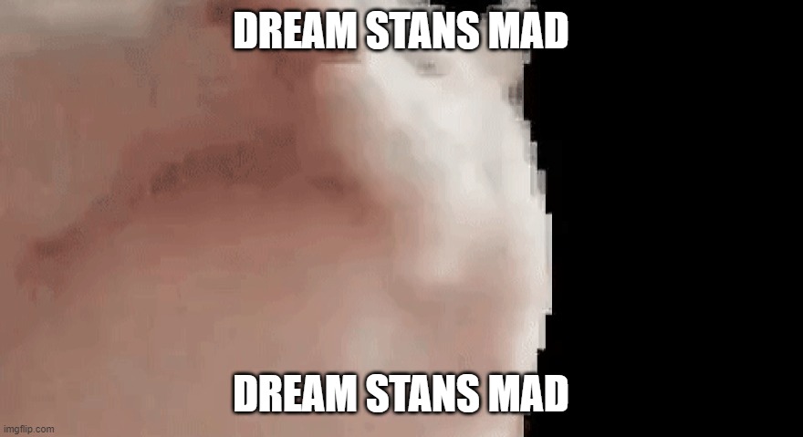 Vibing cat | DREAM STANS MAD DREAM STANS MAD | image tagged in vibing cat | made w/ Imgflip meme maker
